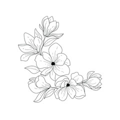 Botanical illustration. Magnolia. Black and white flower arrangement. Sketch hand drawing of a flower, linear art on a white background. Vector illustration