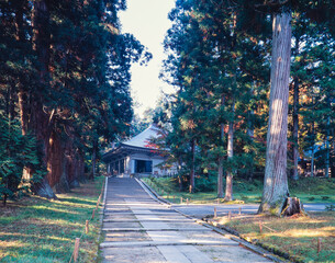 紅葉の中尊寺　金色堂