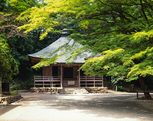 新緑の中尊寺の経堂