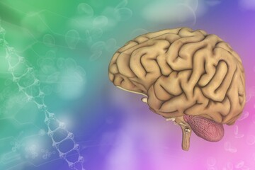 Medical 3D illustration - human brain, brain analysis concept - highly detailed electronic texture