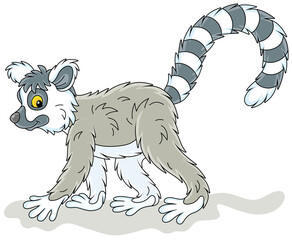 Exotic tropical Madagascar ring-tailed lemur walking, vector cartoon illustration isolated on a white background © Alexey Bannykh