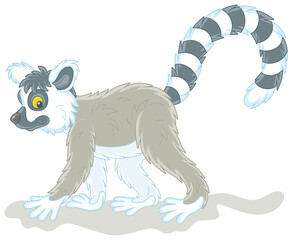 Exotic tropical Madagascar lemur with a very long striped tail walking, vector cartoon illustration isolated on a white background © Alexey Bannykh
