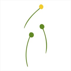 Vector illustration with a green sprig. Vector of plants in the doodle style for banners and postcards.yle plant vector for banners and postcards.