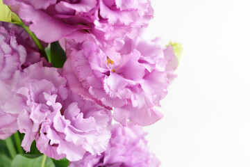 ピンクのトルコキキョウ