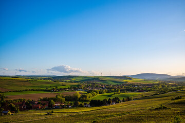 landscape with vineyard