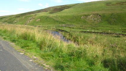 landscape of the river
