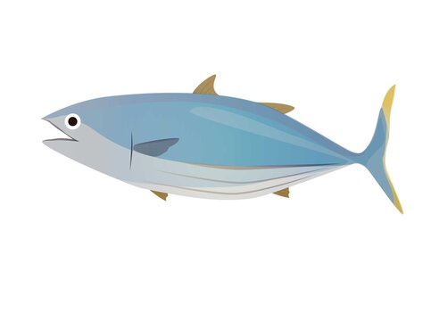 48 865 最適な カツオ 画像 ストック写真 ベクター Adobe Stock