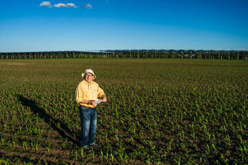 Naklejka na ściany i meble Senior farmer is standing in his growing corn field. He is is examining his sown corn field.