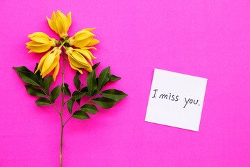 i miss you message card handwriting in with yellow flowers ylang ylang arrangement flat lay postcard style on background pink