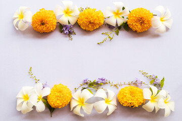 marigold, frangipani, purple flowers local flora of asia arrangement flat lay postcard style on background white 