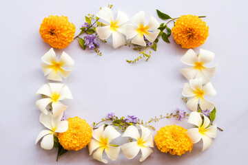 marigold, frangipani, purple flowers local flora of asia arrangement flat lay postcard style on background white 