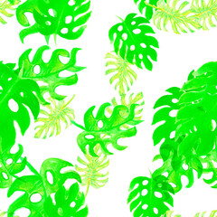 Green Monstera Leaf. Natural Seamless Background. Pattern Leaf. Watercolor Print. Tropical Textile. Floral Monstera. Summer Foliage. Botanical Leaves.