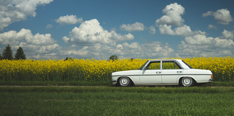 samochód na tle rzepaku  © Tomasz Maślisz