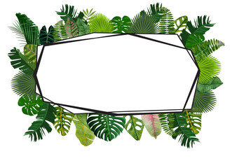 rectangle tropical monstera leaves frame