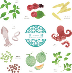 夏の薬膳/食材の手描きイラスト-2
