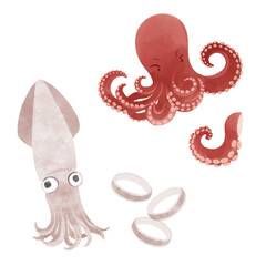 タコとイカの手描きイラスト