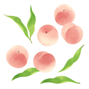 2 299 Best 桃 イラスト Images Stock Photos Vectors Adobe Stock 2 299 Best 桃 イラスト Images Stock Photos Vectors Adobe Stock
