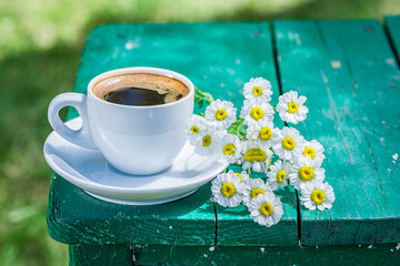 Hot coffee in garden. Coffee in summer in sunny day.
