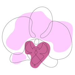 Orchid flower. One line art