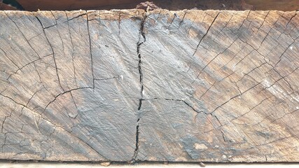 Close-up of exotic wooden log patterns with cracks and annual rings. Natural organic texture with cracked and rough surface. Flat wooden surface with annual rings. Old wood texture.