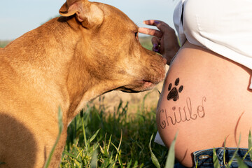 pregnant with the dog smelling the baby's gut with her name written on it