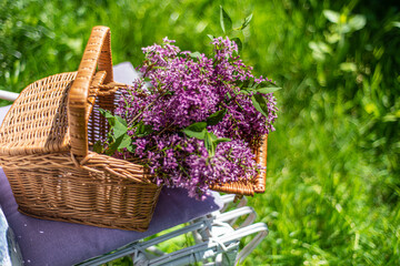 wicker rectangular box with lilac flowers in the garden, picnic basket with lilac purple bouquet,...