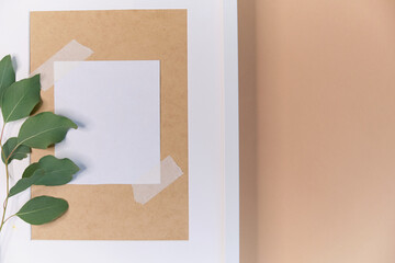 greeting card mockup. Eucalyptus populus branch on a beige background. different paper texturescongratulation. invitation. place for text. flat lay