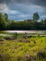 biodiversity landscape