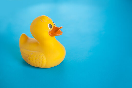 yellow duck on blue background. toy for children