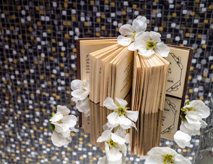 Obraz na płótnie Canvas book with cherry flowers between pages
