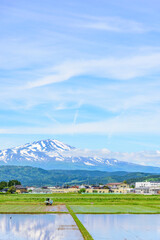 Obraz premium 庄内平野より鳥海山を望む