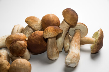 Freshly picked porcini mushrooms. Boletus with a brown hat.