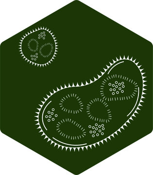 one-celled organymes of white color on a green background