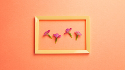 China pink flowers picture frame on orange background. flat lay, top view, copy space