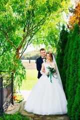 Obraz na płótnie Canvas A beautiful bride in a white dress with a long veil is smiling and hugging with the groom, in the park against the background of green thuja.