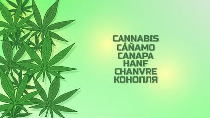 The word cannabis in Spanish, Italian, German, French and Russian. Hemp leaves with shadows. Bright green advertising poster