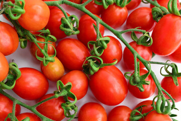 Background with red cherry tomatoes. Red tomatoes macro photo. Lots of red cherry tomatoes. Ripe red tomatoes close up vegetable background Top view blurry textures soft focus.