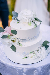 Obraz na płótnie Canvas Beautiful wedding cake, close-up of a cake decorated with white flowers and green leaves