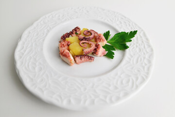 Octopus and potato salad, typical food from the Mediterranean. Italian food. Close up on white plate Octopus salad.