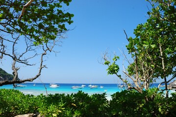 Similan Island, Phang nga Thailand