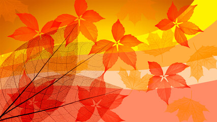 Texture from flowers and leaves. Background.