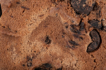 Chocolate chip cookies close up. Cookie texture.