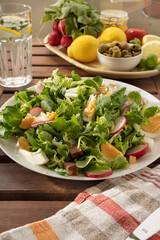 Summer sunny meal with big plate of salad with greens, reddish, eggs, olives. Keto diet concept. Low carb diet. 