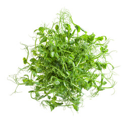 Fresh microgreens of pea isolated on white background