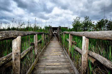 Fototapeta premium Magical places and hills of Tuscany 