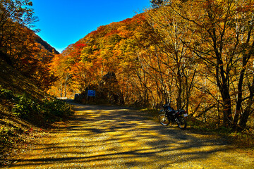 紅葉の風景（山形）
