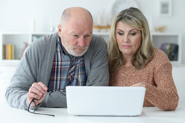 Senior couple portrait with laptop