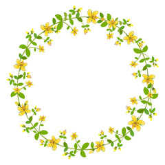Obraz na płótnie Canvas A wreath of Hypericum flowers. Round floral frame. Vector clipart and design for sublimation of medicinal plants