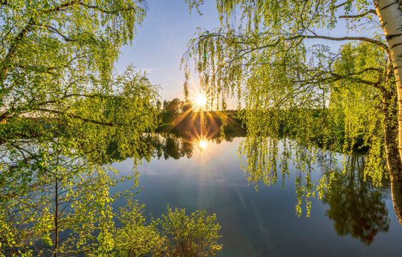 Scenic view at beautiful spring sunset on a shiny lake with green branches, birch trees, bushes, grass, golden sun rays, calm water ,deep blue cloudy sky and forest on a background, spring landscape © Yaroslav