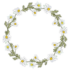 Chamomile flowers wreath. Vector clipart and design for sublimation